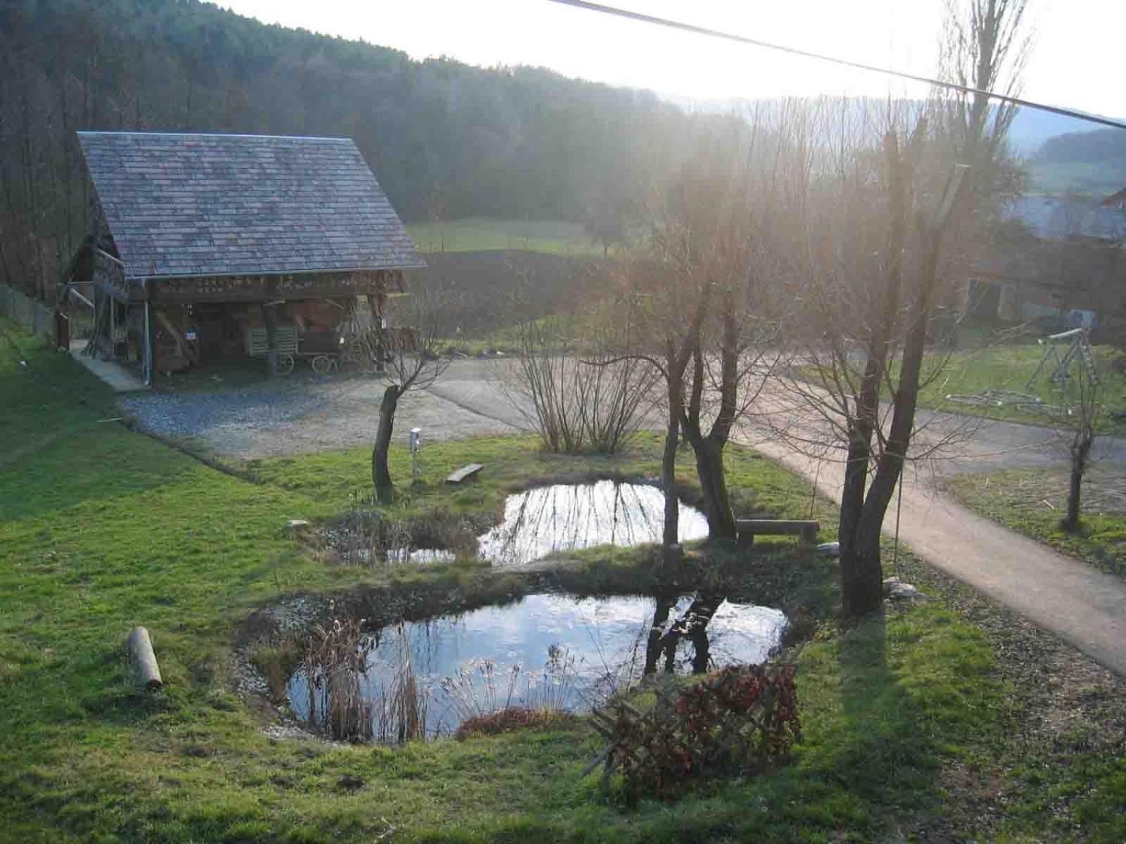Turisticna Kmetija Cebelji Gradic Apartment