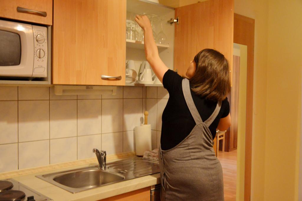 Apartment Turisticna Kmetija Cebelji Gradic *
